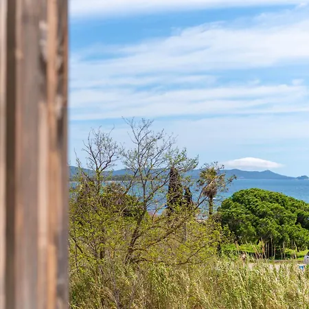 Vue 50m Des Salins Piscine 2 Parkings Terrasse Apartment Hyeres